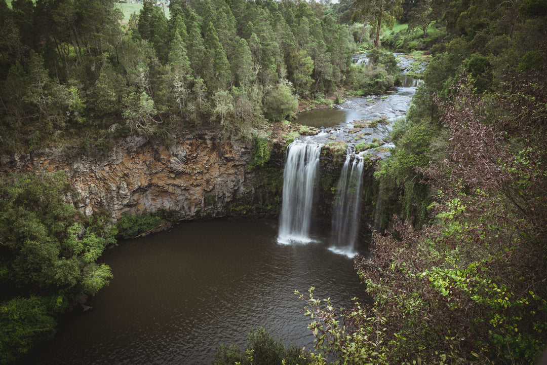 Dangar Falls | Belingan | New South Wales  🇦🇺