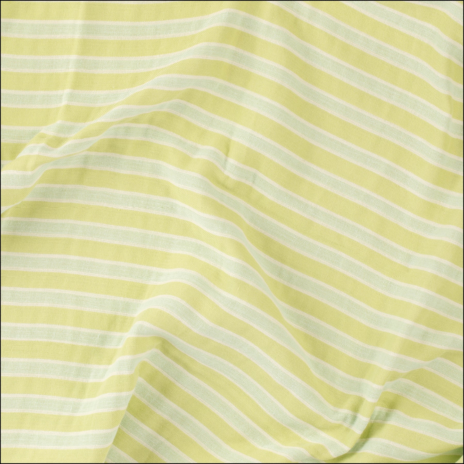 Laguna Fern Green & Mint
