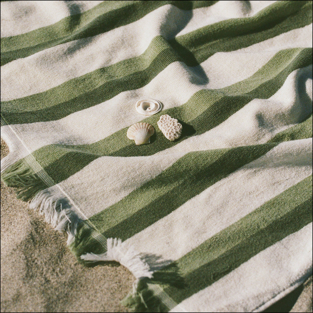 Shallows Sage