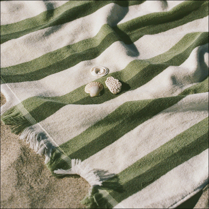 Shallows Sage