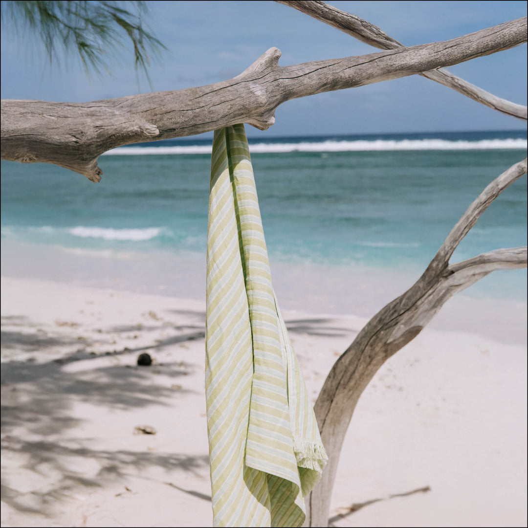 Laguna Fern Green & Mint