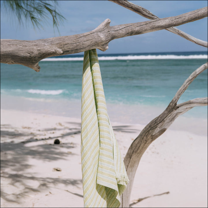 Laguna Fern Green & Mint